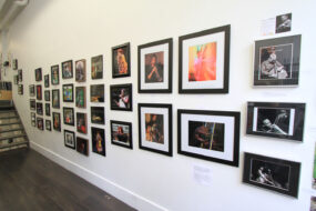 Exhibitions